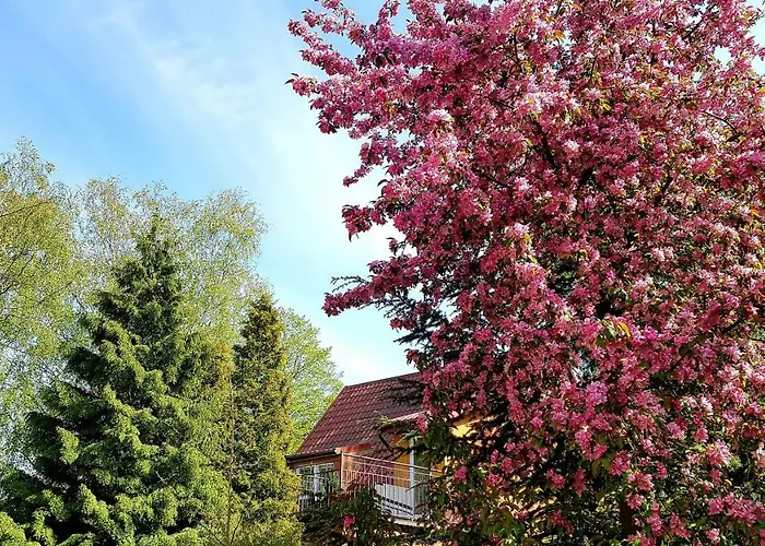 アパート Lawenda